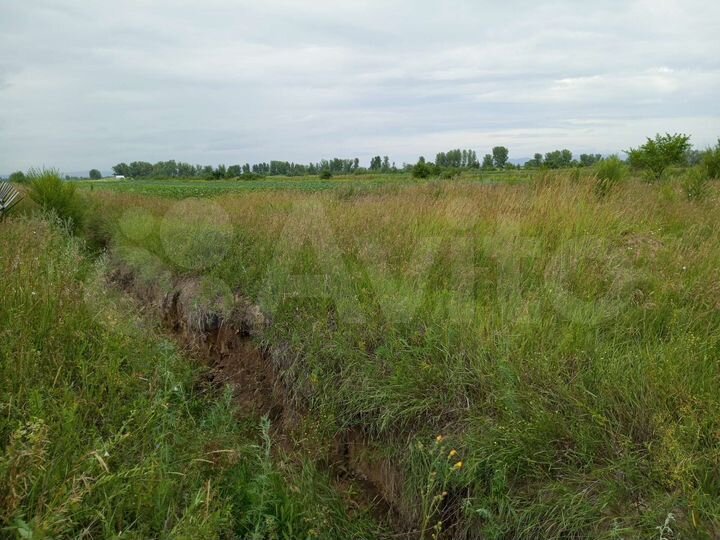 Участок 12,5 сот. (СНТ, ДНП)