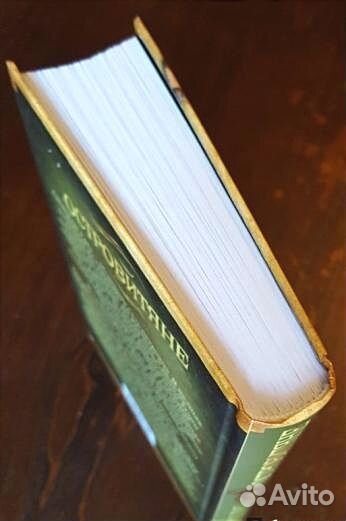 Островитяне. Кристофер Прист