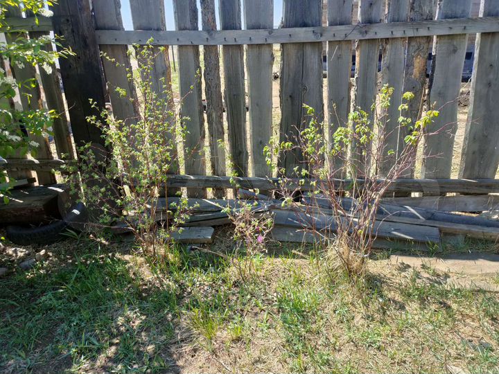 Дом 135,8 м² на участке 15 сот.