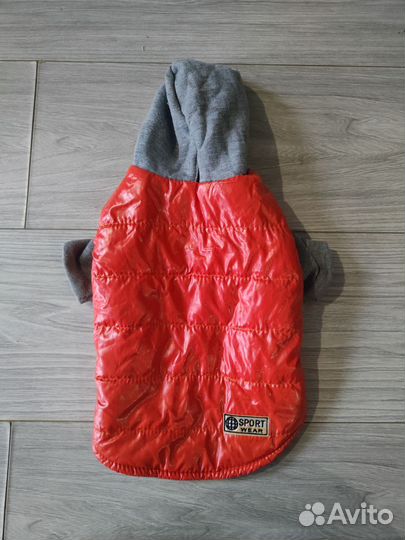 Одежда на маленькую собаку