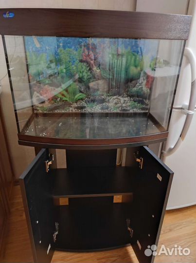 Аквариум с тумбой