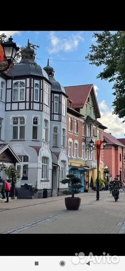 Куршская коса. Индивидуальная экскурсия и отдых