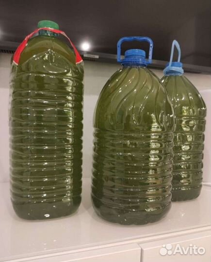 Хлорелла для водоемов свежая