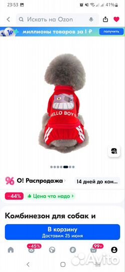 Одежда для средних собак