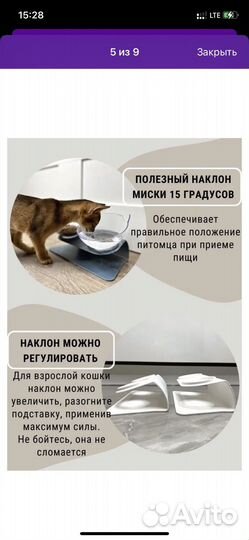 Подставка для кормления собак