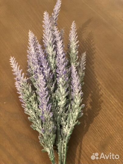 Веточка лаванды декоротивной