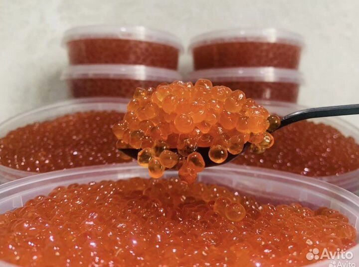 Икра кеты 2023