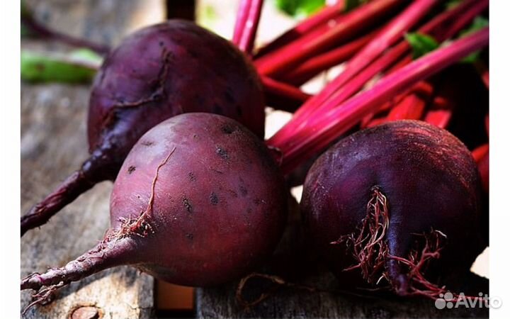 Семена свеклы дeтpoйт