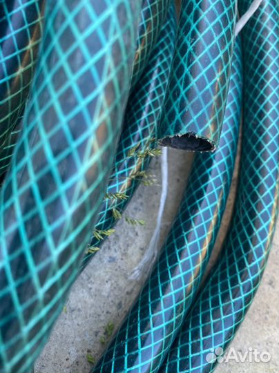 Шланг поливочный