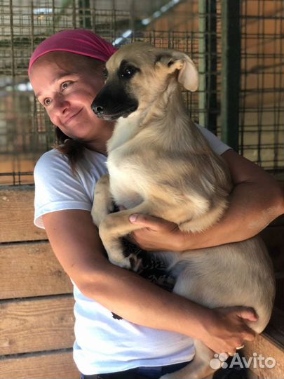 Малыш в добрые руки