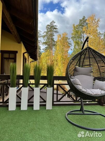 Осока,трава в кашпо, премиум-качество