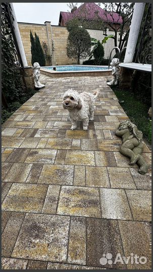 Тротуарная плитка ГОСТ заказ от 120 м2