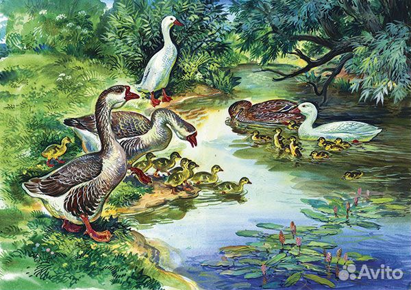 Репродукции картин А2: домашние животные (11 шт)