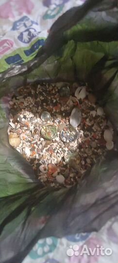 Камушки, ракушки для аквариума