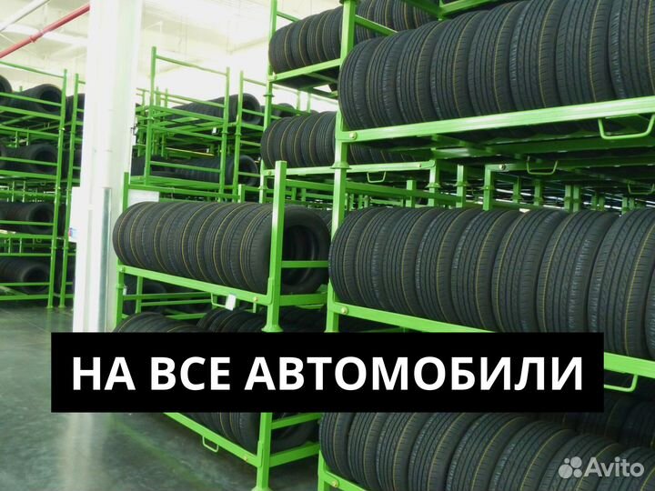 Foman Polar Bear 205/55 R16