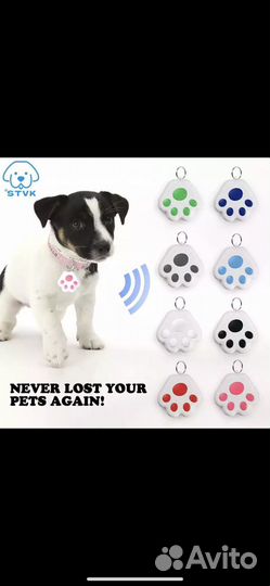 GPS -трекер для кошек и собак