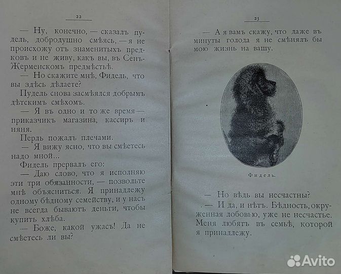 Антикварная книга 1899 год