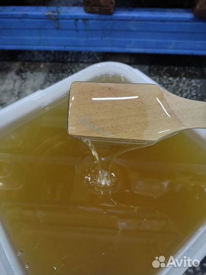 Свежий мёд липа Опт