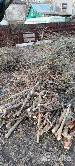 Отдам дрова бесплатно самовывоз