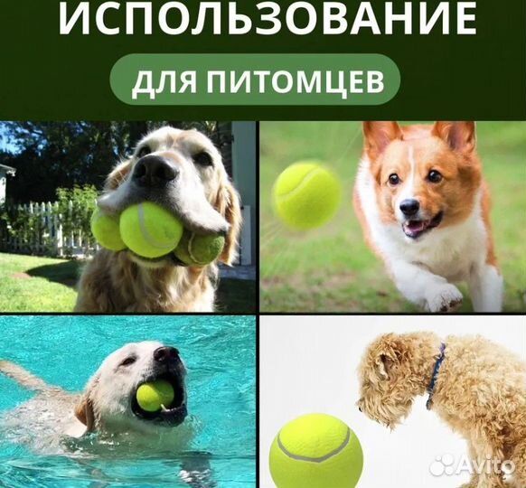 Теннисные мячики после игры