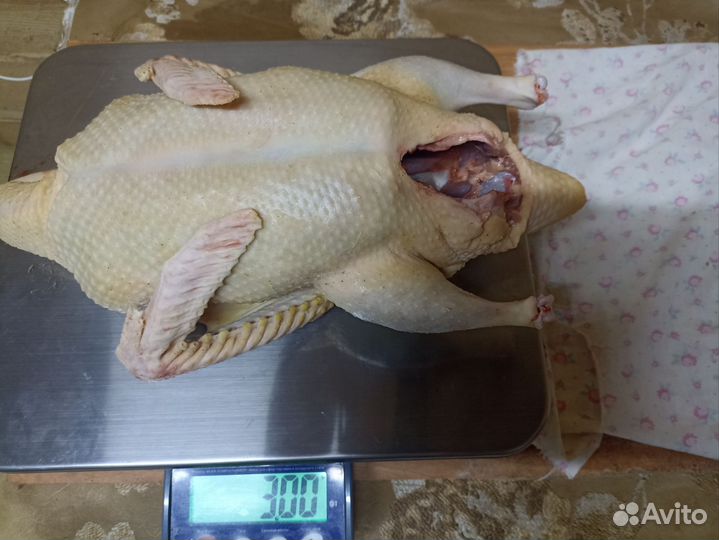 Мясо домашней птицы