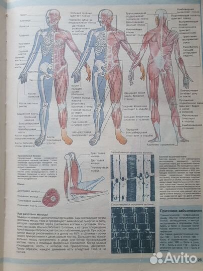 Книга краткое пособие 