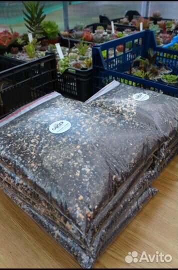 Грунт для суккулентов, цеолит, кварцевый песок