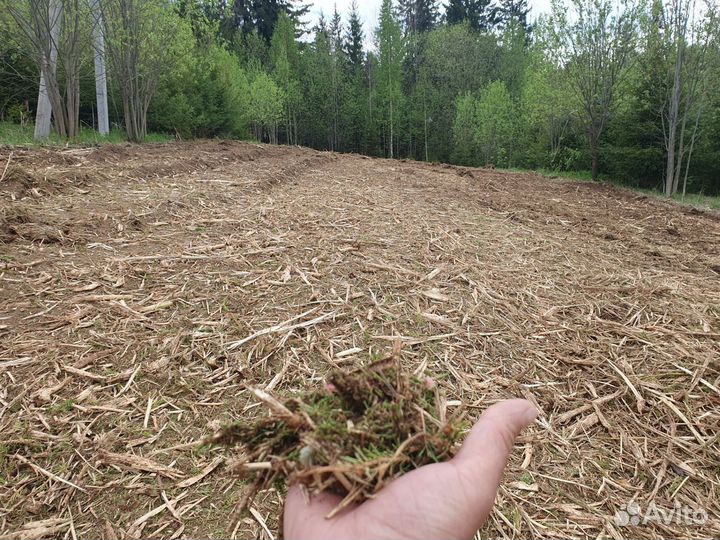 Услуги мульчера, расчистка