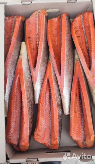 Форель холодного копчения