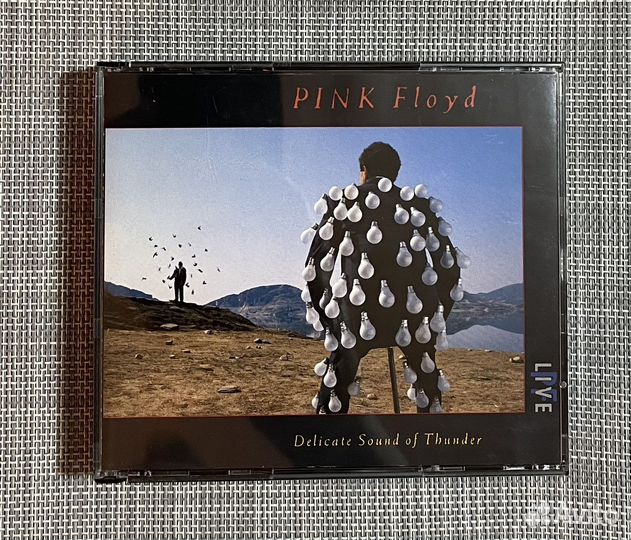 Pink Floyd-Delicate Sound of Thunder/Live/ 2CD