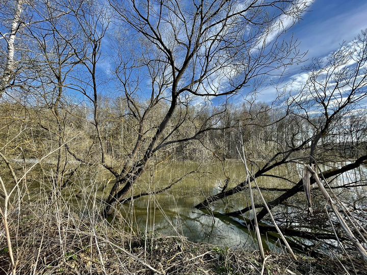 Участок 20 сот. (ИЖС)