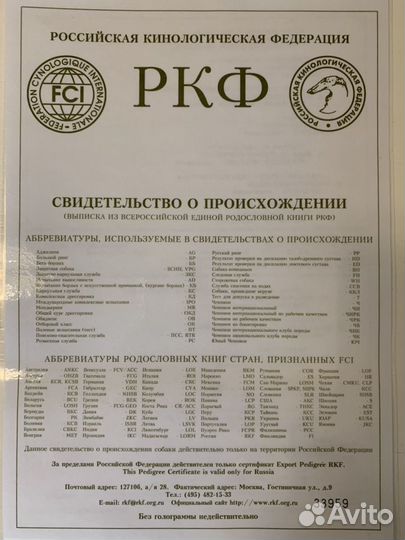 Щенки немецкой овчарки