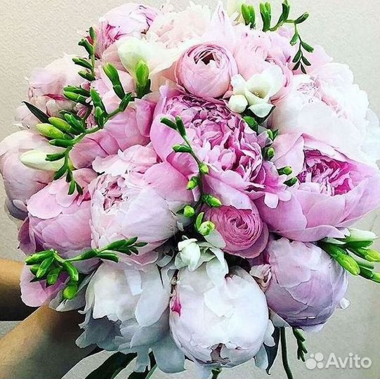 Пионы Букеты Цветы Доставка