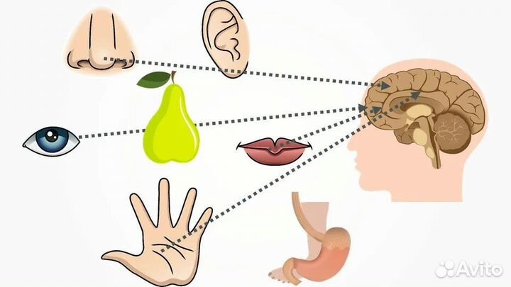 Нескучная наука