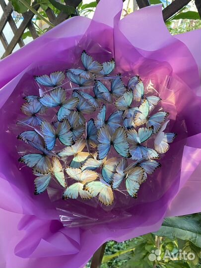 Букет из бабочек