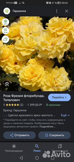 Розы сортовые сибирские