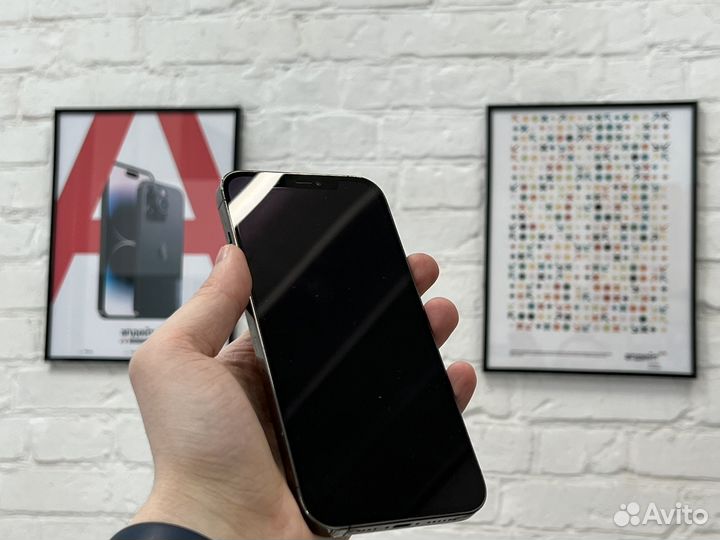iPhone 12 Pro Max, 256 ГБ