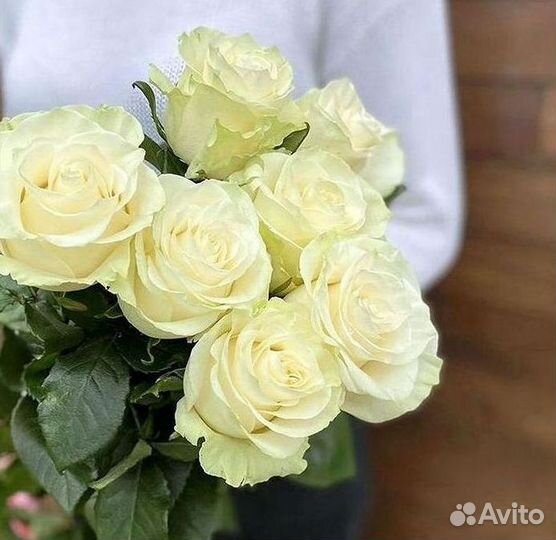 Розы Цветы Букеты 25 51 151 201 101 301 501 опт