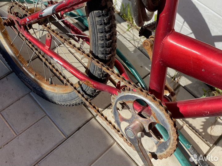 Велик бу 2 года