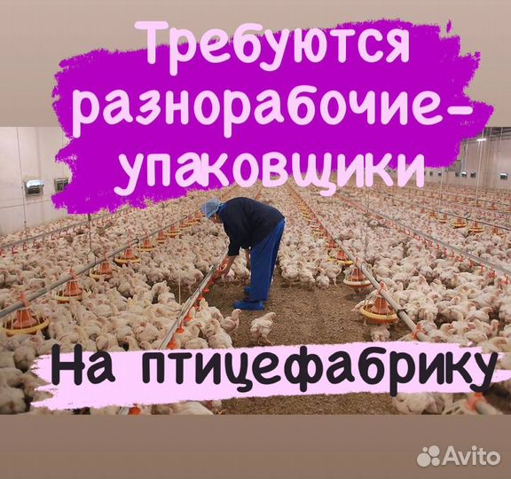 Упаковщик на производство вахта