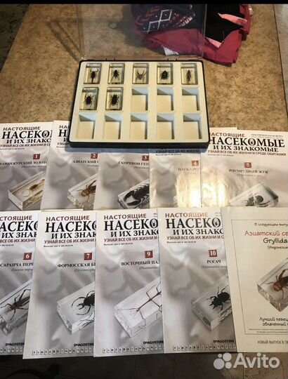 Насекаомые и их знакомые