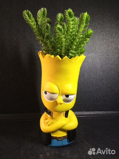 Композиция Симпсон из суккулента, кактус