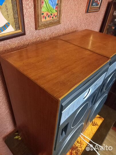 Акустические колонки Вега 25 ас 109-2