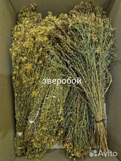 Травы для бани