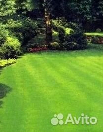 Газон рулонный гарантия