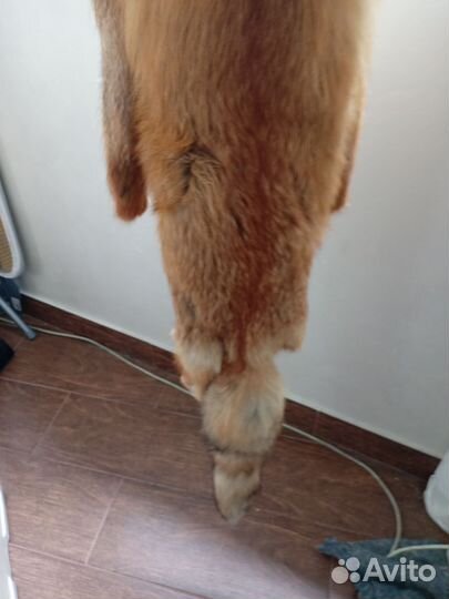 Продаётся натуральный мех лиса