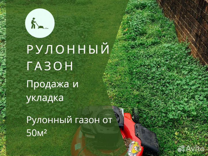 Укладка и продажа рулонного газона