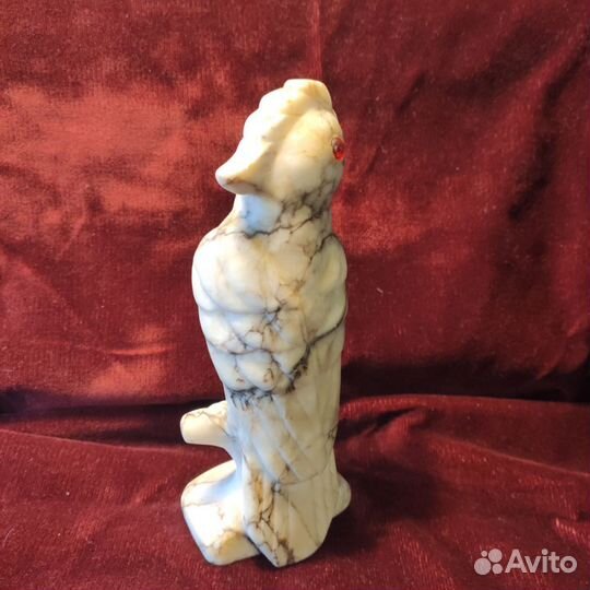 Мраморный попугай СССР