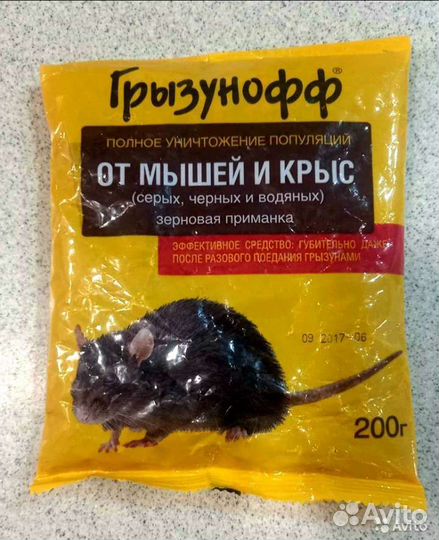 Еда для крыс и мышей