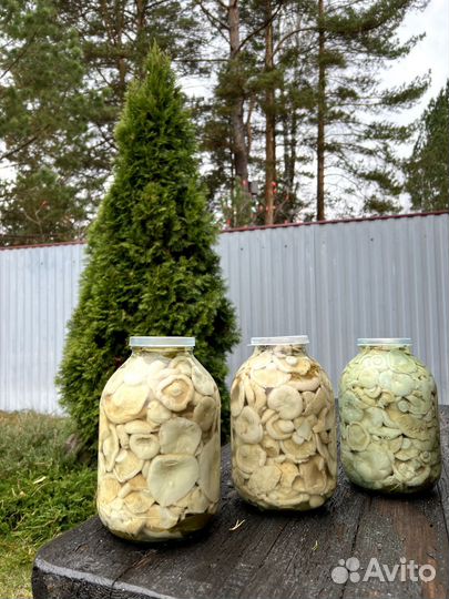 Грибы грузди холодного посола